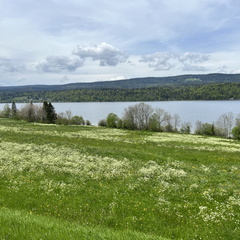 23-05-21 13-18-45 5519